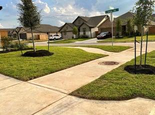 Aletheia P.'s lawn care service result