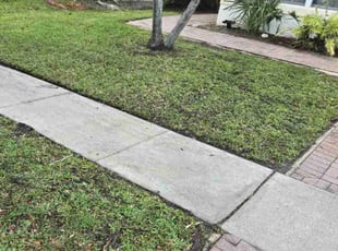 Gale W.'s grass maintenance service result