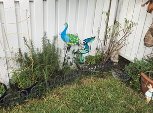 Robert C.'s Bush Trimming service result