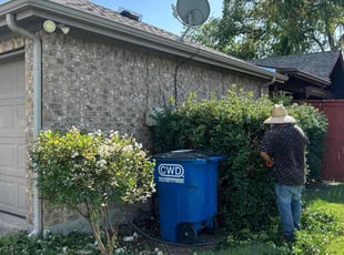 Sandra B.'s lawn maintenance service result