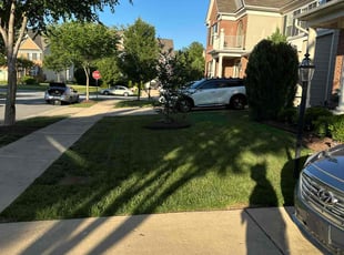 Melody T.'s turf care service result