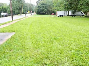 Cindy C.'s lawn care service result