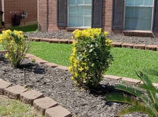 Claude S.'s Bush Trimming service result