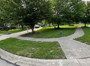 Nathan S.'s grass maintenance service result