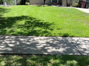 Iris F.'s grass cutting service result