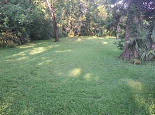 Kayla R.'s lawn care service result