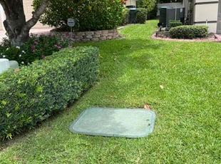 Patience O.'s Bush Trimming service result
