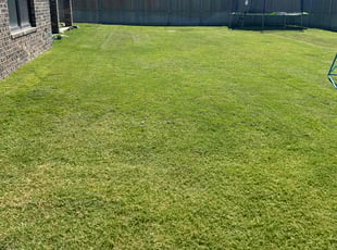 Paula L.'s lawn care service result