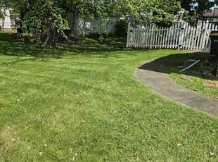 Sharon M.'s grass maintenance service result