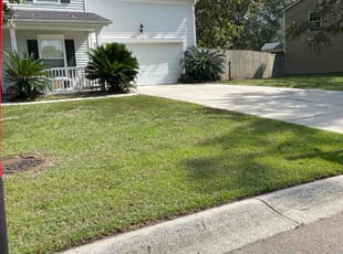 Jerry G.'s lawn maintenance service result