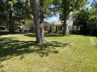 Kerryann L.'s lawn care service result