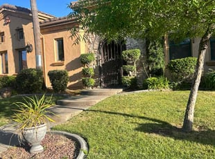 Debi N.'s turf care service result