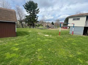 Dwayne A.'s lawn maintenance service result