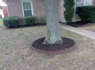 Jim B.'s Bush Trimming service result