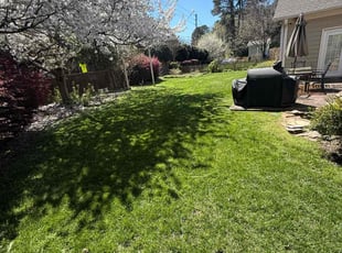 Farid M.'s lawn maintenance service result