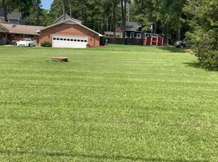 Marissa L.'s turf maintenance service result