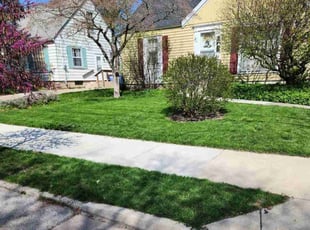 Leroy G.'s grass cutting service result