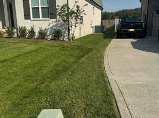 Tracy L.'s yard care service result