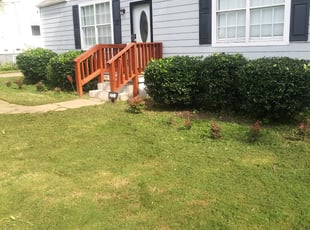 Craig C.'s Bush Trimming service result