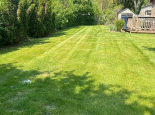 Jerry C.'s lawn care service result