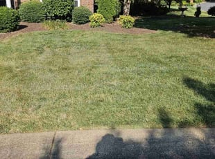 Duncan W.'s lawn care service result