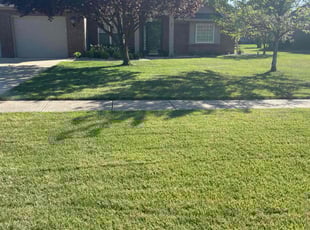 Derek A.'s lawn service service result