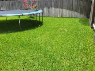 Joel Z.'s lawn care services service result
