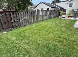 Justin M.'s lawn care service result
