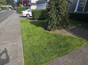 Charlene C.'s turf care service result