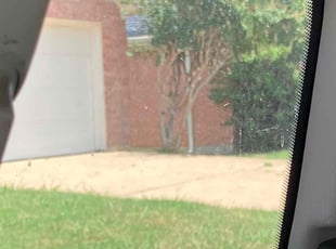 Benjamin P.'s Bush Trimming service result