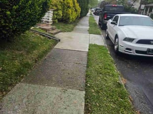 Terrance S.'s turf maintenance service result