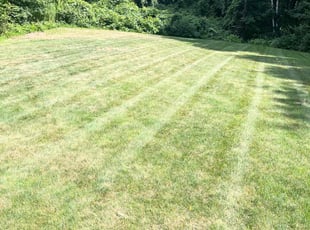 Tom M.'s lawn service service result