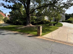 Ronald B.'s grass cutting service result