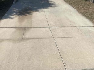 Michael B.'s turf care service result