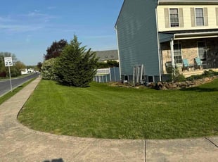 Johnny T.'s turf care service result