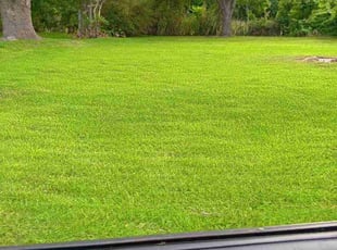 Barry H.'s lawn care service result