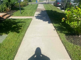 Dwight B.'s lawn care services service result