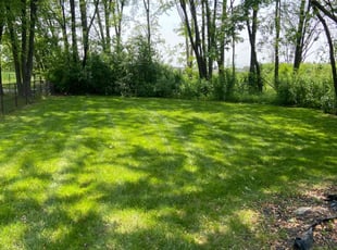 Tiffany R.'s turf care service result