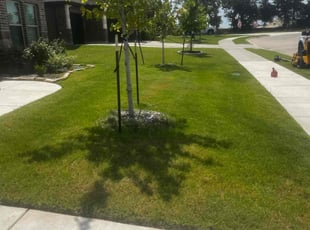 Christine H.'s Bush Trimming service result