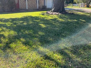 Anita C.'s turf care service result