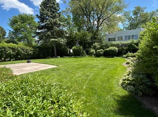 Lynne A.'s grass cutting service result