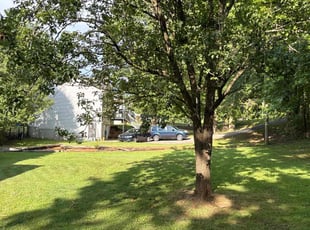 Pamela W.'s grass maintenance service result