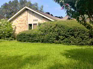 Jennifer E.'s lawn care services service result