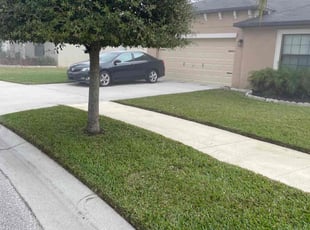 Cathy J.'s turf maintenance service result