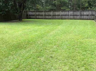 Yi F.'s grass cutting service result