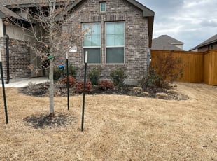 Sara P.'s Bush Trimming service result