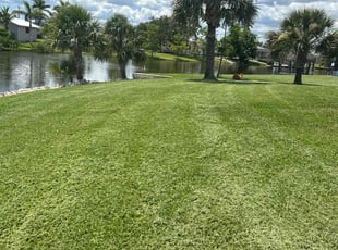 Orlando J.'s grass cutting service result