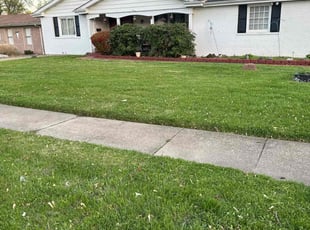 Precious P.'s lawn care service result