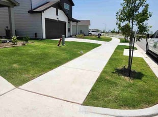 Christie C.'s lawn maintenance service result