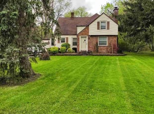 Ruben G.'s grass maintenance service result
